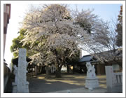 駅前神社(かごはら自動車学校)