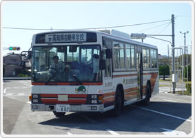 大型二種教習車(高知家・高知県自動車学校)