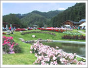 バラ公園(マツキドライビングスクール村山校（村山自動車学校）)