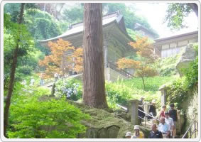 山寺観光(天童自動車学校)